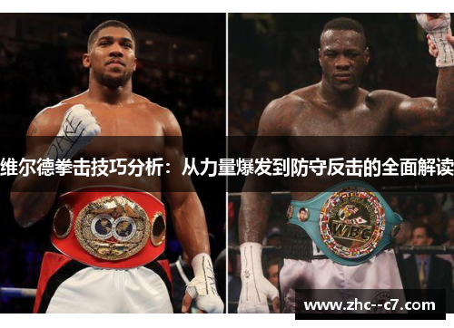 维尔德拳击技巧分析：从力量爆发到防守反击的全面解读
