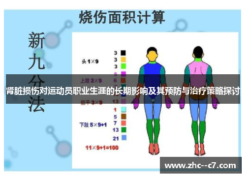 肾脏损伤对运动员职业生涯的长期影响及其预防与治疗策略探讨