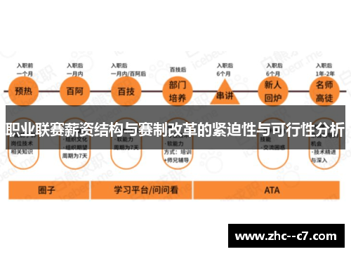 职业联赛薪资结构与赛制改革的紧迫性与可行性分析