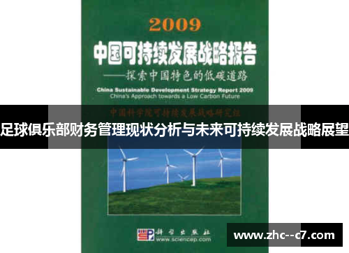 足球俱乐部财务管理现状分析与未来可持续发展战略展望