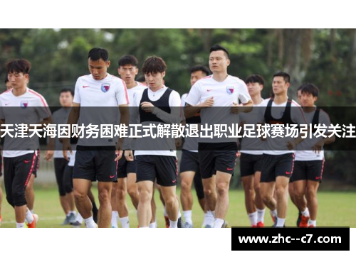 天津天海因财务困难正式解散退出职业足球赛场引发关注
